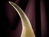 an image of a glass sculpture of a whale ' s fin