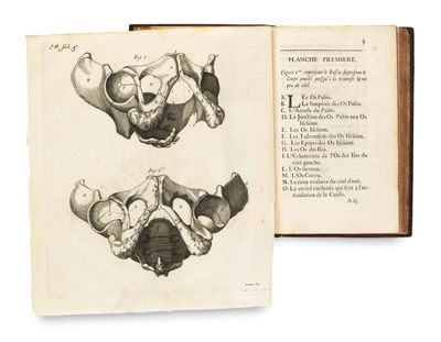 an open book with a drawing of a human skull and a diagram of a human skull