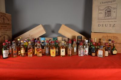 many bottles of alcohol lined up on a table