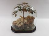 a glass dome with a tree inside of it