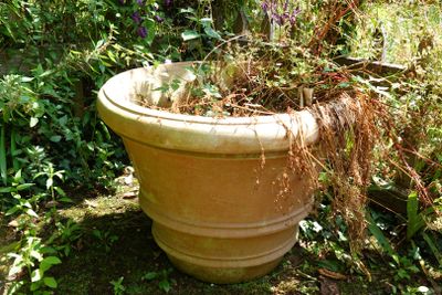 a large pot with plants in it sitting in the grass
