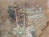 une image représentant un tableau d'un arbre sur une falaise rocheuse