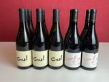 six bouteilles de vin sont alignées sur une table