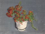 un tableau représentant un vase blanc contenant des baies rouges