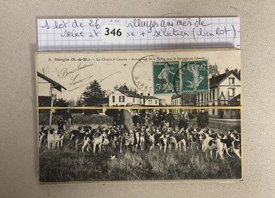 a picture of a postcard with a picture of a herd of cattle