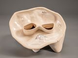 a white bowl with a pair of sunglasses on it