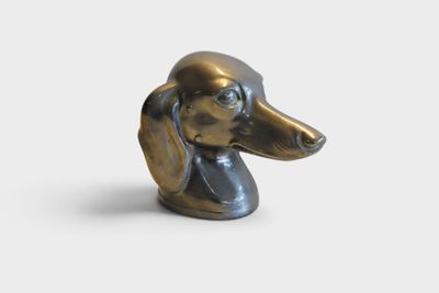 brass dachshund head on a white background