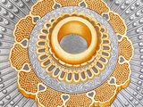 an image of a drawing of a circular design on a metal surface