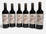 six bouteilles de vin sont alignées sur une surface blanche