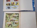 Photo 5/10 du lot