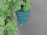 a close up of a bunch of blue grapes on a branch