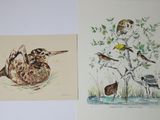 two paintings of birds that are on the wall
