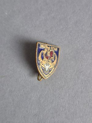 une image représentant un insigne en émail doré et bleu sur un fond gris
