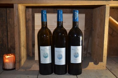 Réunion de trois bouteilles de Baron de Bachen, AOC Tursan C…