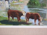two cows that are standing in the water by the rocks
