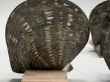 two elephant heads on a wooden stand on a white surface