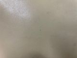 the back view of a woman ' s torso with no shirt on