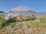 une grande serre où poussent de nombreuses plantes