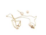a picture of a necklace and earring set on a white background
