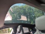 a cat sitting in the back seat of a car