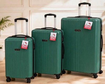 trois bagages posés sur un parquet, à côté d'une plante