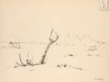 drawing of a lone tree in a barren field with a mountain in the background
