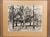 un dessin en noir et blanc représentant des arbres dans un parc