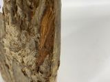 a piece of wood that has a sticker on it