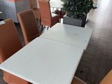 tables and chairs in a restaurant with a plant in the middle of the room