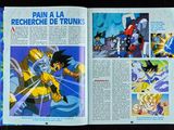 Photo 45/47 du lot