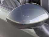 a side view mirror of a car with a bird on it