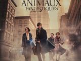 animaux fantastiques Harry Potter Harry Potter Harry Potter Potter Potter Potter Potter Potter Potter Potter Potter Potter Potter Potter Potter Potter Potter Potter Potter Potter Potter Potter Potter Potter Potter Potter Potter Potter Potter Potter Potter Potter Potter Potter Potter Potter Potter Potter Potter Potter Potter Potter Potter Potter Potter Potter Potter Potter Potter Potter Potter Potter Potter Potter Potter Potter Potter Potter Potter Potter Potter Potter Potter Potter Potter Potter Potter Potter Potter Potter Potter Potter Potter Potter Potter Potter Potter Potter Potter Potter Potter Potter Potter Potter Potter Potter Potter Potter Potter Potter Potter Potter Potter Potter Potter Potter Potter Potter Potter Potter Potter Potter Potter Potter Potter Potter Potter Potter Potter Potter Potter Potter Potter Potter Potter Potter Potter Potter Potter Potter Potter Potter Potter Potter Potter Potter Potter Potter Potter Potter Potter Potter Potter Potter Potter Potter Potter Potter Potter Potter Potter Potter Potter Potter Potter Potter Potter Potter Potter Potter Potter Potter Potter Potter Potter Potter Potter Potter Potter Potter Potter Potter Potter Potter Potter Potter Potter Potter Potter Potter Potter Potter Potter Potter Potter Potter Potter Potter Potter Potter Potter Potter Potter Potter Potter Potter Potter Potter Potter Potter Potter Potter Potter Potter Potter Potter Potter Potter Potter Potter Potter Potter Potter Potter Potter Potter Potter Potter Potter Potter Potter Potter Potter Potter Potter Potter Potter Potter Potter Potter Potter Potter Potter Potter Potter Potter Potter Potter P