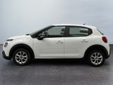 Photo 2/17 du lot