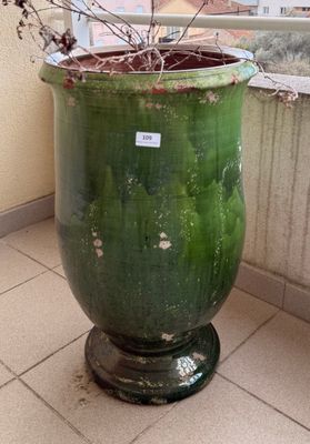 une plante verte dans un pot vert posé par terre