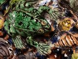 a frog that is sitting on the ground next to shells