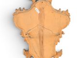 an old wooden shield on a white wall