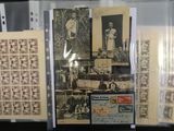 de nombreux timbres anciens exposés dans une vitrine