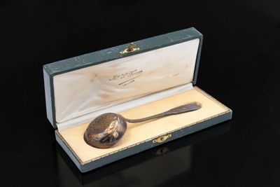 a silver spoon in a box with a spoon in it