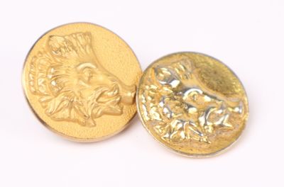 two gold colored buttons with a lion head on them on a white surface