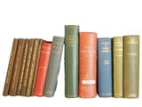 books are lined up on a shelf in a row on a white background
