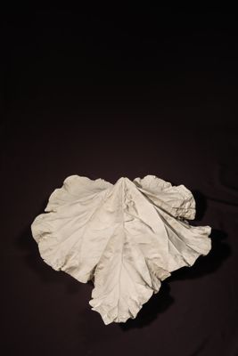 un morceau de papier qui ressemble à une feuille sur un fond noir