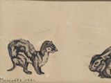 a drawing of a rabbit and a ferret on a piece of paper