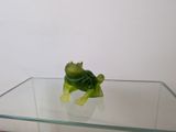 une petite grenouille verte assise sur une table en verre