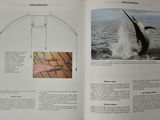 a book with a picture of a whale in the water