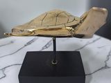 a gold sculpture of a turtle on a black stand