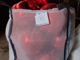 un sac contenant un ornement rouge, posé par terre