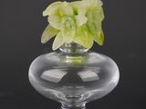 a glass vase with a flower in it on a black background