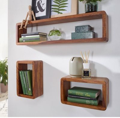 two wooden shelves on the wall with books and plants