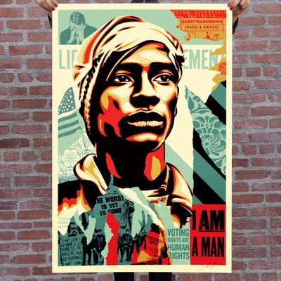 Shepard Fairey VOTING RIGHTS ARE HUMAN RIGHTS Lithographie o…