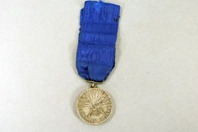 a blue ribbon with a gold medal on it